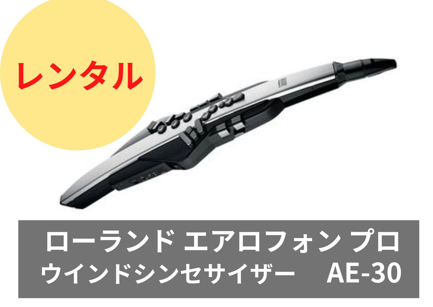 【新品】レンタル楽器 Roland ローランド エアロフォン プロ ウインドシンセサイザー AE-30