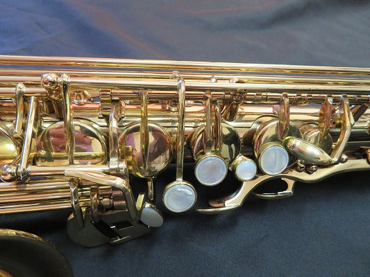 レンタル楽器 セルマー アルトサックス SA-80 II