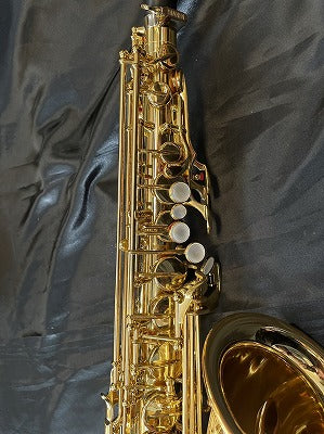 レンタル楽器 ヤマハ アルトサックス YAS-875　M1 GP ネック付